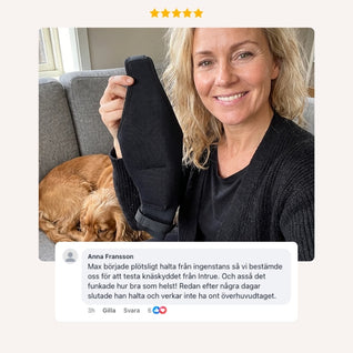 Intrue® Knästöd för hund