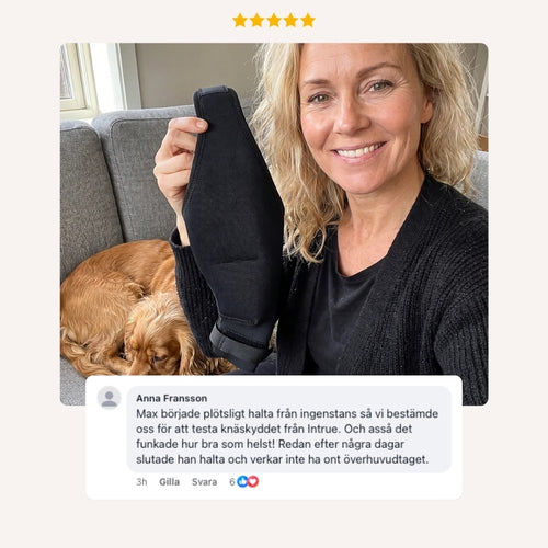 Intrue® Knästöd för hund