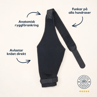 Intrue® Knästöd för hund