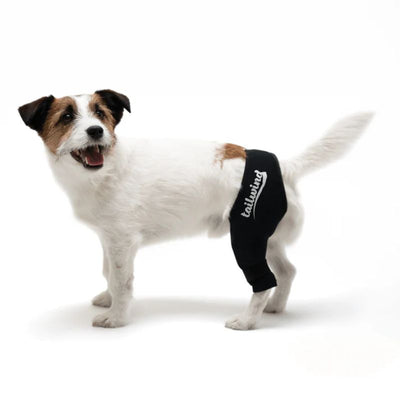 Intrue® Knästöd för hund