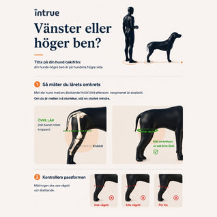 Intrue® Knästöd för hund