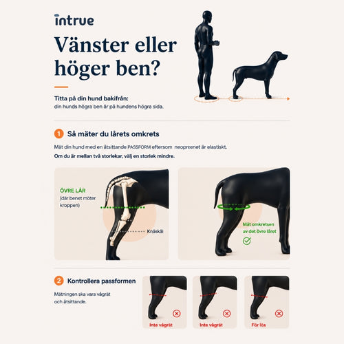 Intrue® Knästöd för hund