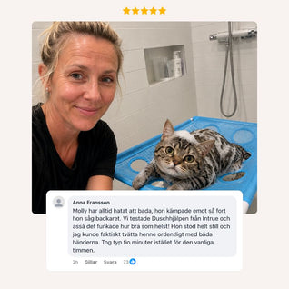 PawBuddy® Duschhjälp för katter