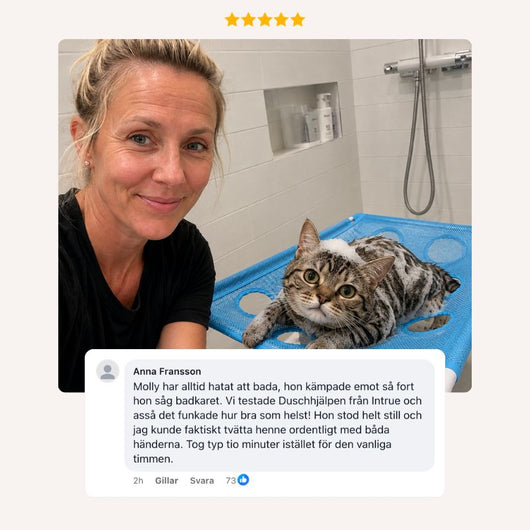 PawBuddy® Duschhjälp för katter
